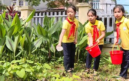 Những thông điệp bảo vệ thiên nhiên môi trường từ học sinh
