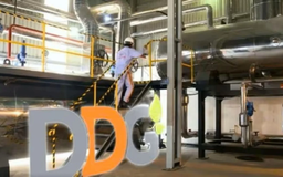 DDG đứng trước nguy cơ hủy niêm yết do thua lỗ