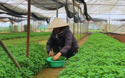 Những nông dân ứng dụng công nghệ cao vào sản xuất