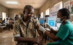 WHO ban bố tình trạng y tế khẩn cấp vì dịch Ebola ở châu Phi