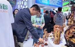 Khai mạc Hội chợ triển lãm Trung Quốc - Nga lần thứ 10