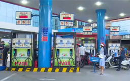 Giám sát, kiểm tra triển khai xăng sinh học E10