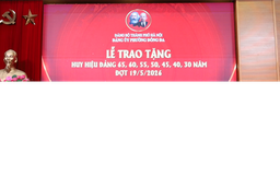 Phường Đống Đa trao Huy hiệu Đảng đợt 19/5 cho 159 đảng viên