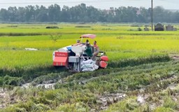 Xã Kiều Phú duy trì ANTT, ổn định giá dịch vụ mùa thu hoạch