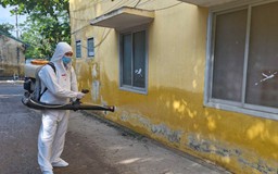 Hà Nội: Các địa phương chủ động phòng, chống dịch bệnh mùa hè