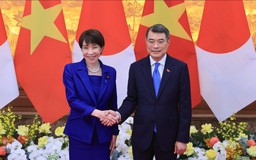 Sớm đưa đầu tư của Nhật Bản vào Việt Nam đạt 5 tỷ USD/năm
