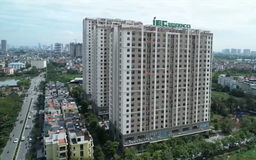 Đất 50 năm có bị thu hồi không?