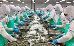 Triển lãm quốc tế khoa học công nghệ thuỷ sản Việt Nam