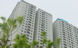 Hơn 8.000 căn hộ chung cư mới mở bán trong quý 1/2026