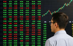 VN-Index vẫn tăng nhẹ dù số mã giảm giá nhiều gấp đôi tăng giá