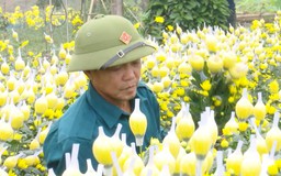 Người 'giữ lửa' cho nông nghiệp quê hương | Người tốt quanh ta | 21/05/2026