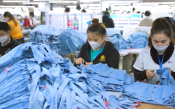 Ngành dệt may thúc đẩy chuyển đổi số | Chuyển đổi số | 24/03/2026