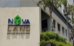 Cổ đông lớn giảm tỷ lệ sở hữu tại Novaland xuống 7,54%