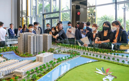 Hà Nội yêu cầu rà soát pháp lý loạt sàn bất động sản
