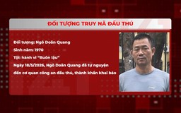 Vận động đối tượng truy nã đầu thú