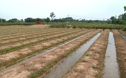 Lãng phí nguồn lực đất đai từ các dự án chậm triển khai