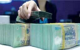 38 doanh nghiệp chốt quyền trả cổ tức bằng tiền mặt trong tuần tới