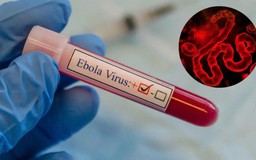 WHO công bố kế hoạch gần 320 triệu USD ứng phó dịch Ebola