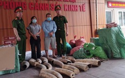 Triệt phá đường dây buôn lậu ngà voi và thuốc lá ngoại