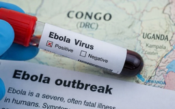 Vaccine Ebola có thể được đưa vào thử nghiệm trong ba tháng tới