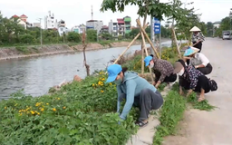 Giữ màu xanh từ mỗi ngõ xóm