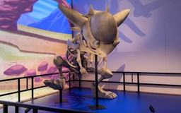 Độc đáo triển lãm hóa thạch Pokémon tại Chicago, Mỹ