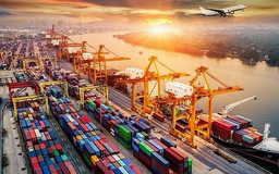 Nhập siêu đầu năm: Áp lực hay tín hiệu tăng tốc?