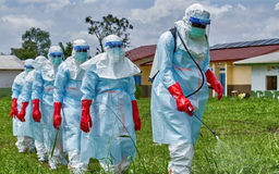WHO: Dịch Ebola đang lan nhanh vượt quá khả năng ứng phó