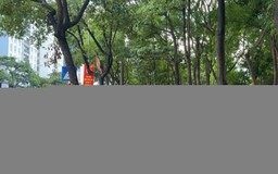 Phường Yên Sở giám sát chặt chẽ dự án cải tạo vỉa hè đường Trần Thủ Độ