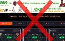 Xem nhẹ bản quyền, hệ lụy khôn lường