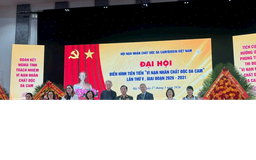 Đại hội Điển hình tiên tiến 'Vì nạn nhân chất độc da cam'