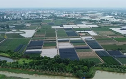 Cơ hội cho doanh nghiệp từ các dự án chậm triển khai