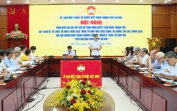 Hà Nội đề xuất tối đa 5 người hoạt động không chuyên trách mỗi thôn