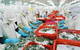 Doanh nghiệp Việt tìm đường vào thị trường Anh