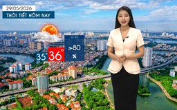 Dự báo thời tiết tối | 29/05/2026