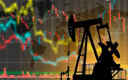 Cổ phiếu dầu khí phục hồi mạnh, VN-Index giảm điểm nhẹ