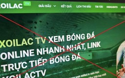 Đẩy lùi vi phạm bản quyền trên không gian mạng