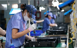 Tăng sức chống chịu cho khu vực sản xuất, kinh doanh