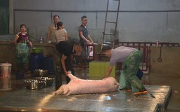 Đến 30/6, Hà Nội sẽ không còn điểm giết mổ nhỏ lẻ