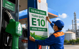 Bộ Công Thương yêu cầu hãng xe đánh giá tương thích với xăng E10