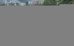 Cầu Giấy: Khẩn trương xử lý hiện tượng cá chết tại hồ công viên CV1