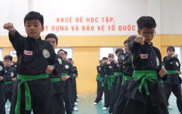 Võ cổ truyền Hà Nội góp phần thúc đẩy kinh tế thể thao