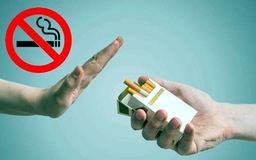Hành động vì môi trường không khói thuốc