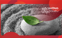 Cứ để mọi thứ như nó đang là