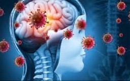 Phòng tránh bệnh viêm não Nhật Bản trong cao điểm mùa hè