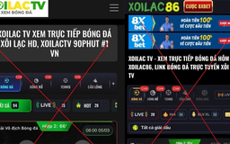 Thủ tướng yêu cầu triệt phá website phim, âm nhạc, chương trình truyền hình lậu