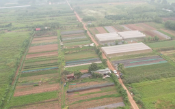 Phát triển mô hình mới mang lại hiệu quả | Nông nghiệp nông thôn | 16/04/2026