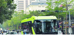 Tăng tốc chuyển đổi xe buýt xanh trong vùng phát thải thấp