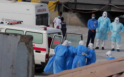 Virus Hanta và bài toán an ninh y tế toàn cầu