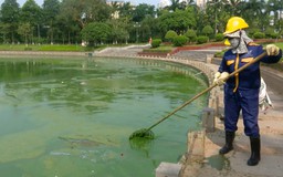 Hồ điều hòa Công viên Hòa Bình đang bị ô nhiễm
